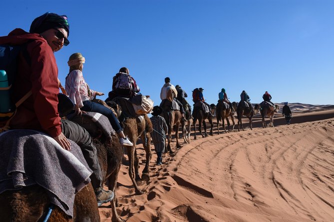 3 Days 2 Nights Desert Trip From Fez to Marrakech in Group - Quick take: what makes this Fez to Marrakech trip work