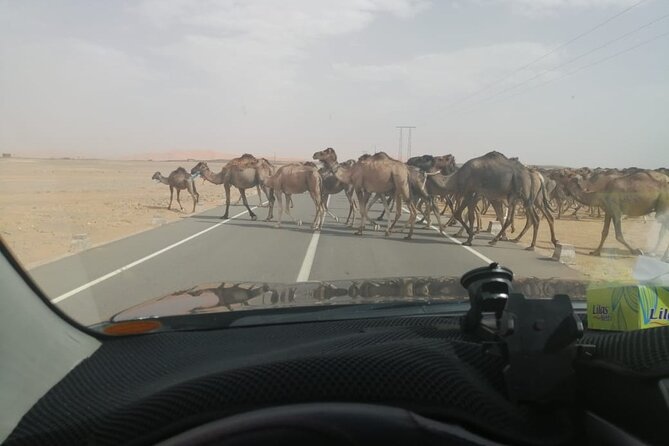 3 Days Desert Tour Fes to Marrakech with 2 Nights in Merzouga - Stop 4: Khamlia, Musica De Gnawa, and an Oasis Visit