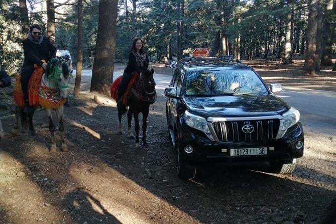 3 Days Desert Tour Fes to Marrakech with 2 Nights in Merzouga - Stop 1: Ifrane, the Swiss-Style Break (Around 20 Minutes)