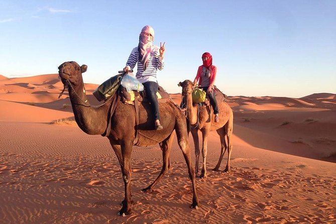 3 Days Desert Tour from Fes to Marrakech via Merzouga - Ait Ben Haddou, Atlas Film Studios, and the Tizi n Tichka pass into Marrakech