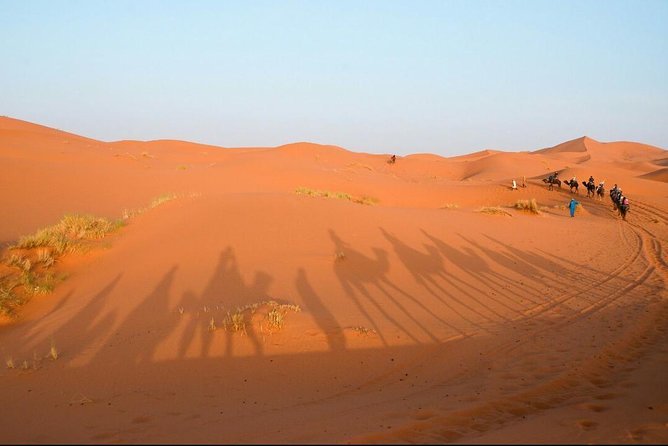 3 Days Desert Tour from Fes to Marrakech via Merzouga - What you really get for the price: $801.40 per person value breakdown