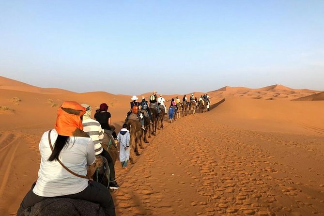 3 Days Desert Tour from Fes to Marrakech via Merzouga - Who should book this 3-day Fes to Marrakech via Merzouga tour