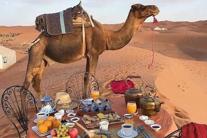 3-Days Desert Tour from Marrakesh - Quick highlights before you hit the road