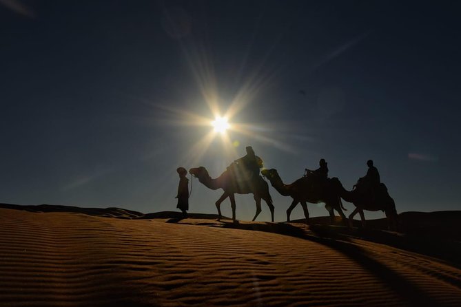 3-Days Desert Tour to Marrakech with Night in Erg Chebbi from Fes - Merzouga desert camp night: Berber tent, stars, and sandboarding