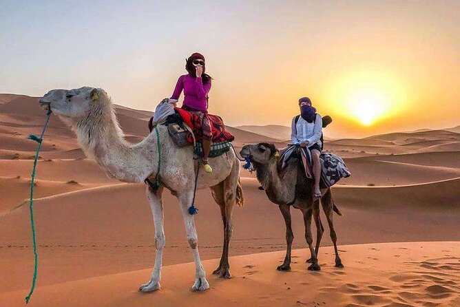3 Days Desert Trip From Fes Back To Fes - Day 2 dunes: sunrise options, Gnawa music in Khamlia, and camel trek