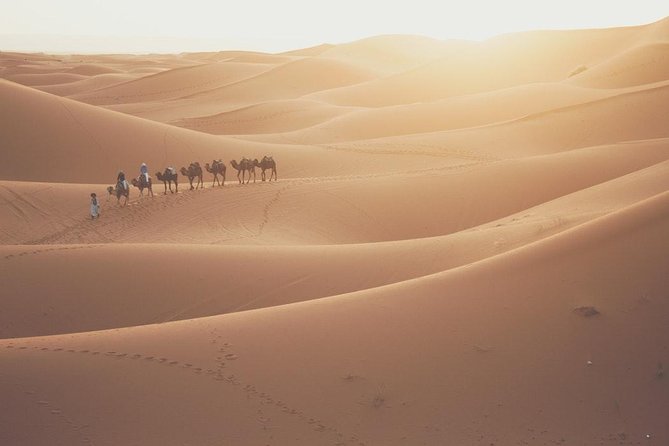 3 Days Excursion - 2 Night to Merzouga from Marrakech - How this 3-day Merzouga run feels in real life