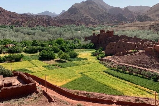 3 Days Fez to Marrakech via Sahara - Ait Ben Haddou: Kasbah time with self-guided flexibility
