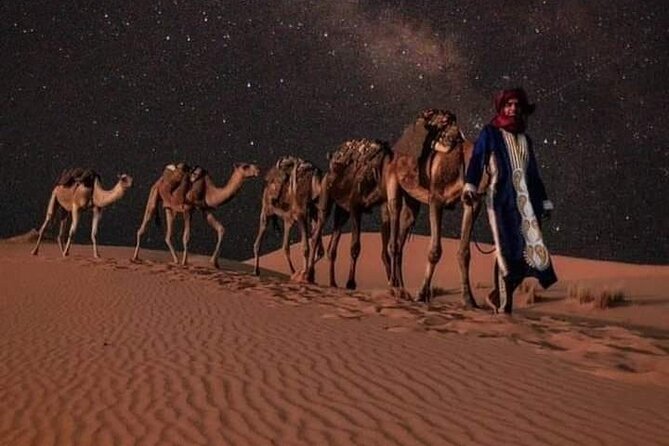 3 Days Luxury Desert Tour From Fes To Marrakech via Merzouga - Merzouga desert night: camel sunset, sandboarding, and tent comfort