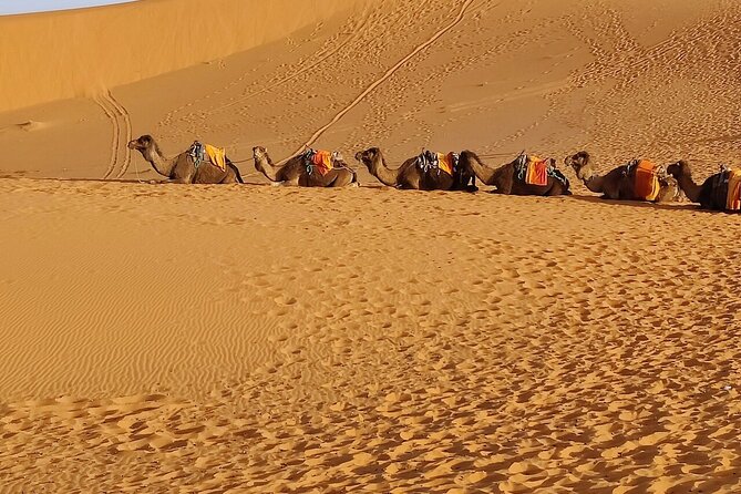 3 Days Luxury Desert Tour From Fes To Marrakech via Merzouga - Todra Gorges and Dades Valley: canyon time with famous rock shapes