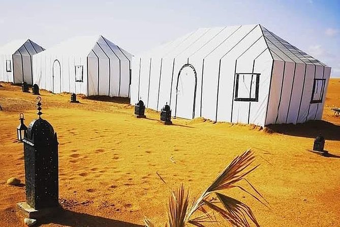 3 Days Luxury private Desert Tour From Fez to Marrakech - Camel trek at sunset into Erg Chebbi dunes