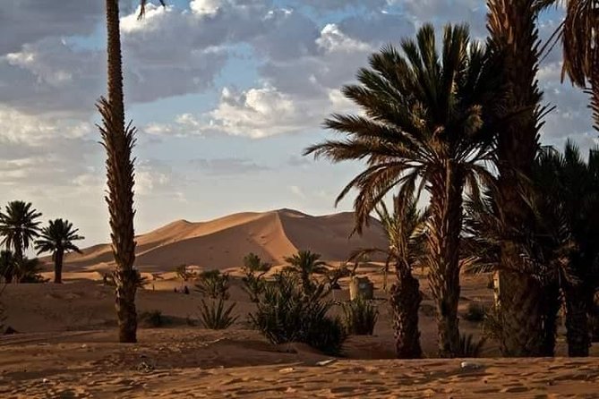 3 Days Luxury private Desert Tour From Fez to Marrakech - Who this private desert tour is best for
