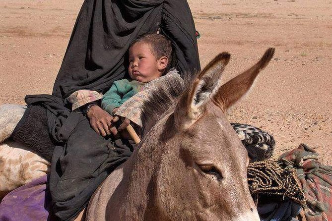 3 Days Marrakech To Fes Desert Tour Via Merzouga - Price and value check for $223.32 per person