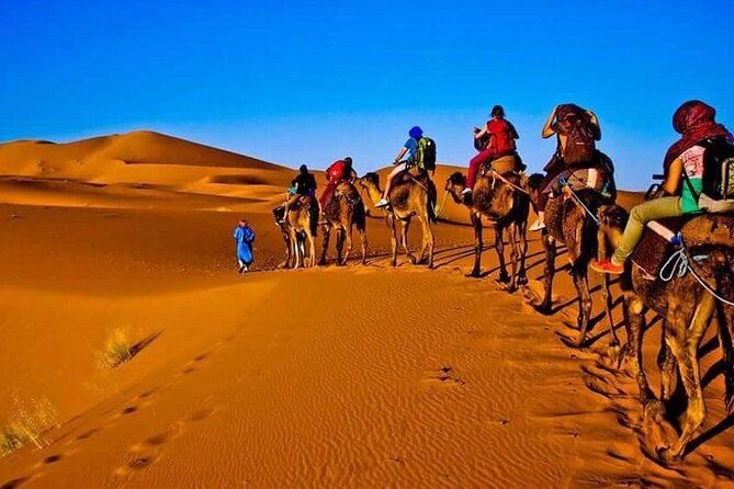 3 Days Merzouga Desert Shared Trip - Key highlights to know before you go