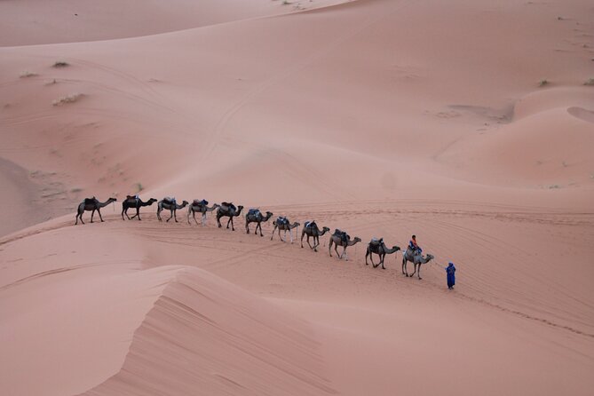 3-Days Morocco Desert Tour from Marrakech to Marzouga - Price and value: what’s included, what’s not, and how to budget