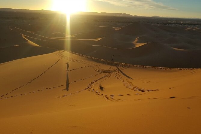 3 Days Private Desert Tour From Fez To Marrakech - Day 3: Roses Valley to Ouarzazate, Ait Ben Haddou UNESCO Kasbah, and High Atlas to Marrakech