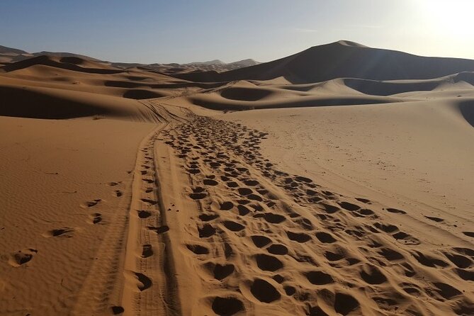 3 Days Private Desert Tour From Fez To Marrakech - Comfort on the road: timing, vehicle, and the human factor