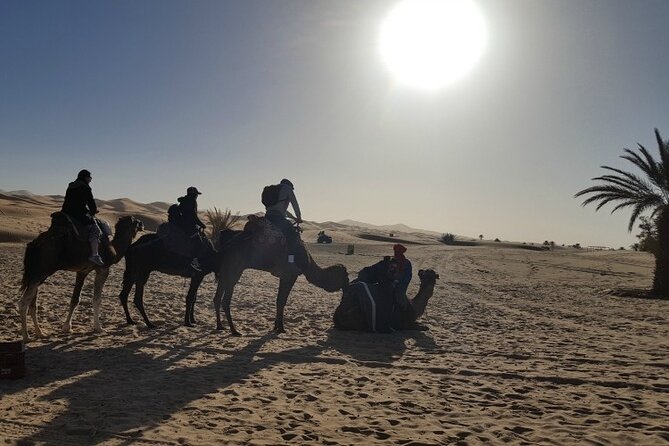 3 Days Private Desert Tour From Fez To Marrakech - Packing and prep tips that make the desert part smoother