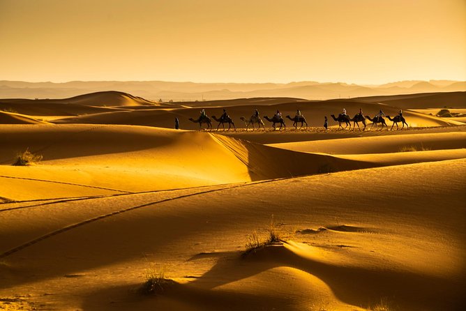 3-Days Private Tour from Marrakech to Fez through Merzouga Desert - Erg Chebbi, Camel Time, And The Night Under Desert Stars