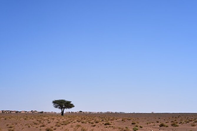 3 Days Sahara Desert Tour from Marrakech to Fes - Group Size, Drivers, and How the Trip Feels