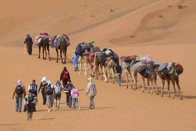 3 days tour from Marrakech to Merzouga - Value check: is $460.61 per person a good deal?