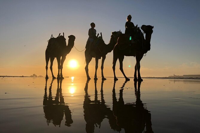 3-hour camel ride at sunset - Your guide matters: history stories, helpful Q and A, and photo time