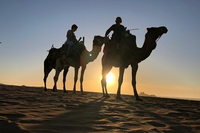 3-hour camel ride at sunset - What to wear for Essaouira beach wind, sand, and sunset timing