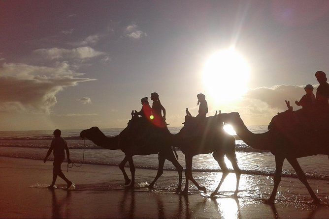 3-hour camel ride at sunset - From Plage Tagharte toward Diabat: how the route usually plays out