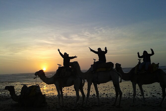 3 hours Camel Ride in Essaouira, beach and dunes - Ruins of Sultan Palace and Portuguese Castle: your history warm-up