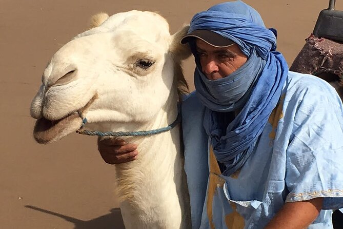 3 hours Camel Ride in Essaouira, beach and dunes - Dunes views: mini desert energy without the long haul