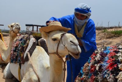 3 hours Camel Ride in Essaouira, beach and dunes