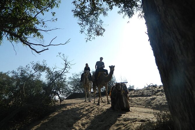 3 hours Camel Ride in Essaouira, beach and dunes - Guide moments that make the ride feel personal