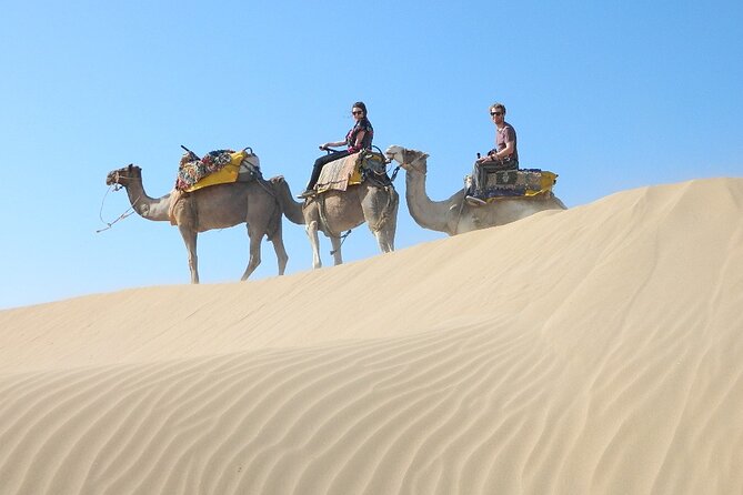3 hours Camel Ride in Essaouira, beach and dunes - Price and value: what $75.60 buys you