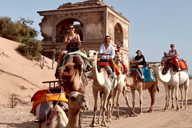 3 hours Camel Ride in Essaouira, beach and dunes - What to pack for sand, wind, and camera moments
