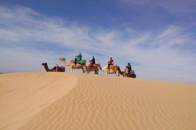 3 hours Camel Ride in Essaouira with Dinner and Overnight in Berber Camp - Diabat, camels, and a Berber camp night close to Essaouira