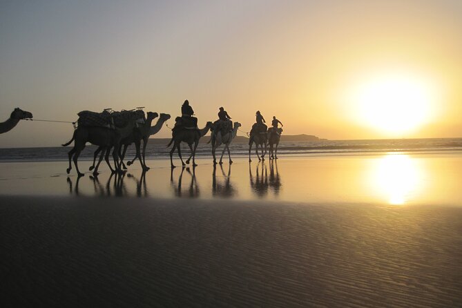 3 hours Camel Ride in Essaouira with Dinner and Overnight in Berber Camp - The Berber camp dinner and mint tea ritual