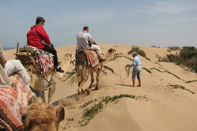 3 hours Camel Ride in Essaouira with Dinner and Overnight in Berber Camp - What you will like most: guide care, gentle animals, and real camp food