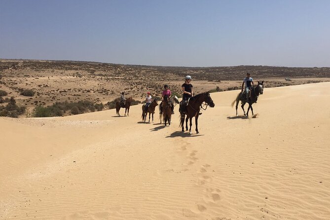 3 hours horse riding in Essaouira, beach, forest and dunes - How the guides match your pace: relaxed riding vs trot and gallop