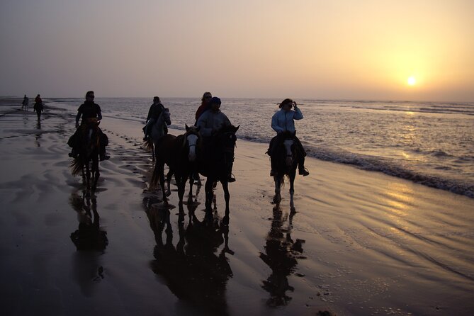 3 hours horse riding in Essaouira, beach, forest and dunes - The light and timing: 10:00 mornings vs sunset-bound afternoons