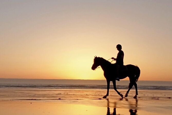 3 hours horse riding in Essaouira, beach, forest and dunes - What you’re paying for: value at $75.49 plus what to bring yourself