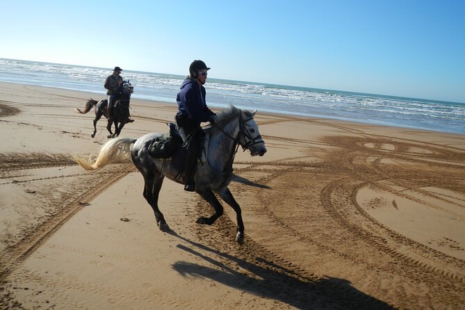 3 hours horse riding in Essaouira, beach, forest and dunes - Should you book this Diabat beach horse ride?
