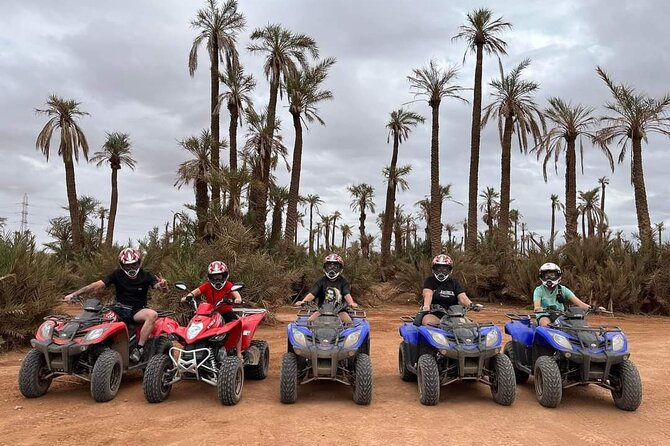 3 Hours Quad Excursion to the palm grove and Jbilat Desert - Key highlights you will actually care about