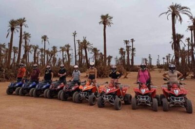 3 Hours Quad Excursion to the palm grove and Jbilat Desert