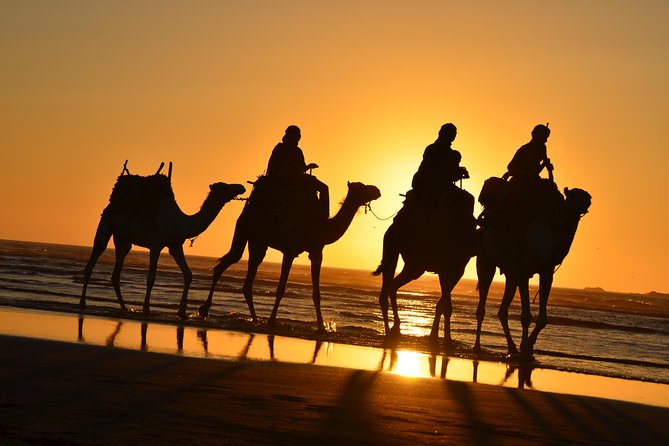 3 hours ride on camel at sunset - Where you start and how pickup fits the plan