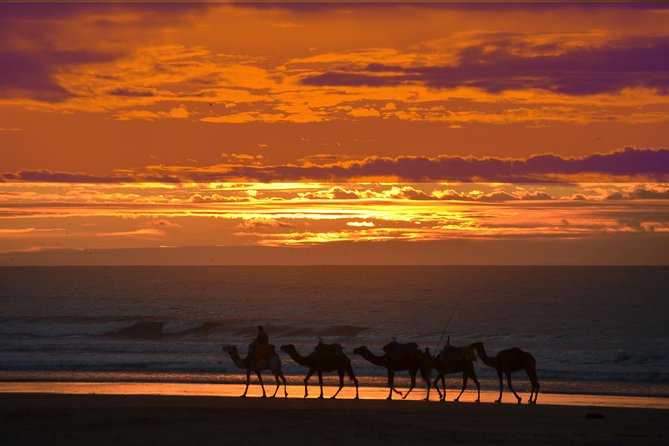3 hours ride on camel at sunset - Diabat village and old ruins: culture between ocean views