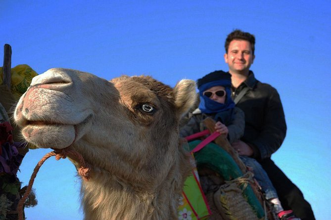 3 hours ride on camel at sunset - Portuguese Borj and Cap Sim dunes: why this route feels special