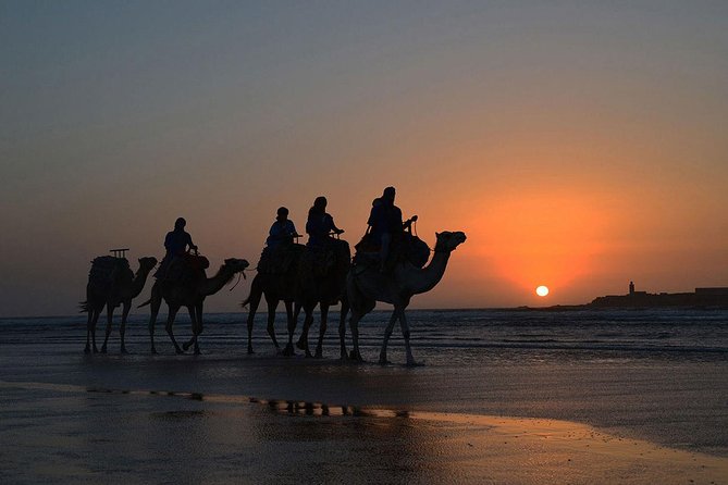 3 hours ride on camel at sunset - Comfort tips that make or break your sunset ride
