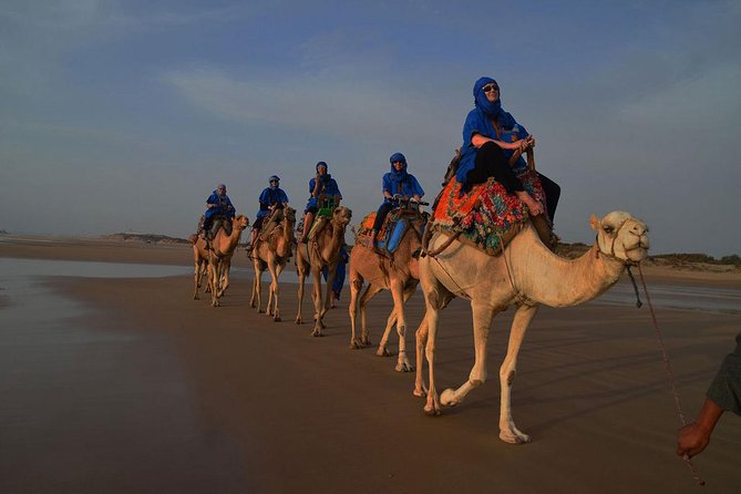 3 hours ride on camel at sunset - Mounting up and getting oriented on the sand