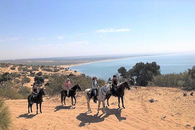 3 hours ride + picnic - Key Highlights That Make This Ride Worth It