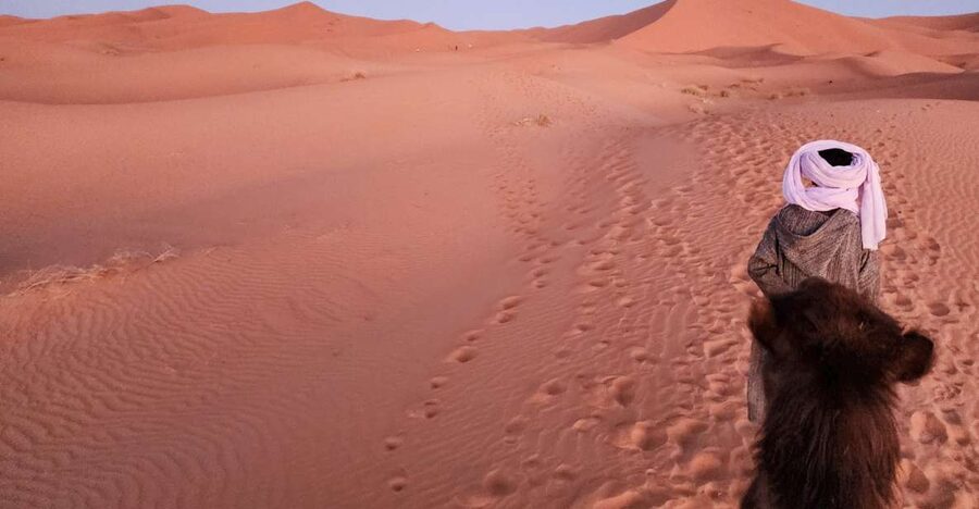 3D Deluxe Experience: Marrakech to Merzouga w/ Quad Option - Desert camp night in Erg Chebbi: what comfort looks like on the edge of the Sahara