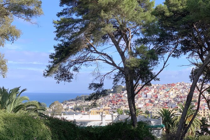 3h Private Walking Tour in Tangier Kasbah Medina & Colorful Souks - Tangier Casbah and Dar el Makhzen: your fortress viewpoint